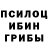 Галлюциногенные грибы Psilocybe Tu Tutarok
