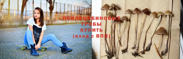 каннабис Алзамай