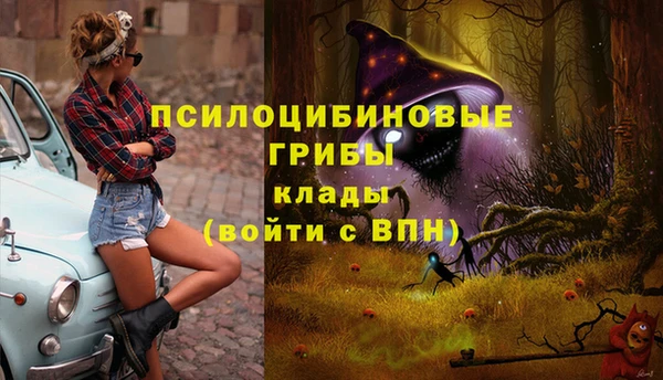 дживик Нязепетровск
